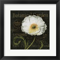 Botanical Garden II Fine Art Print