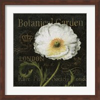 Botanical Garden II Fine Art Print