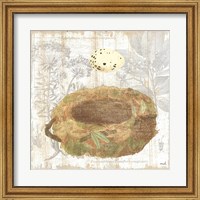 Botanical Nest I Fine Art Print
