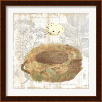 Botanical Nest I Fine Art Print