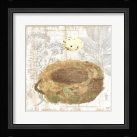Botanical Nest I Fine Art Print