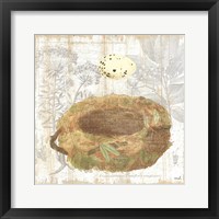Botanical Nest I Framed Print