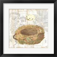 Botanical Nest I Framed Print