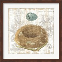 Botanical Nest III Fine Art Print