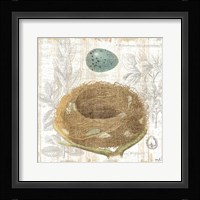 Botanical Nest III Fine Art Print