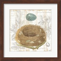 Botanical Nest III Fine Art Print