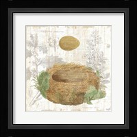 Botanical Nest IV Fine Art Print