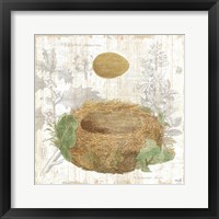 Botanical Nest IV Framed Print