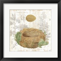 Botanical Nest IV Framed Print