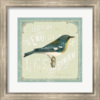 Parisian Bird I Fine Art Print