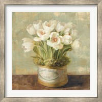 Hatbox Tulips Fine Art Print