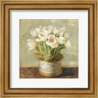 Hatbox Tulips Fine Art Print