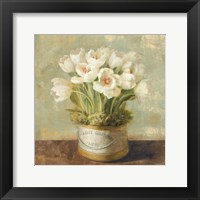 Hatbox Tulips Fine Art Print