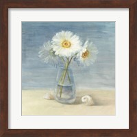 Daisies and Shells Fine Art Print