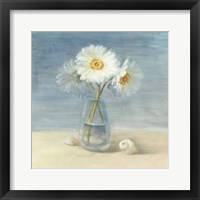 Daisies and Shells Framed Print