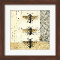 Golden Bees n Butterflies No. 1 Fine Art Print