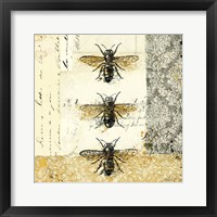 Golden Bees n Butterflies No. 1 Framed Print