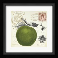 Apple Notes Framed Print