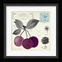 Cherry Notes Fine Art Print
