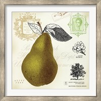 Pear Notes Fine Art Print