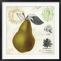 Pear Notes Fine Art Print