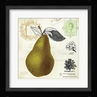 Pear Notes Framed Print