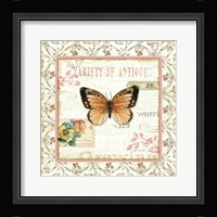 Rose Garden V Fine Art Print