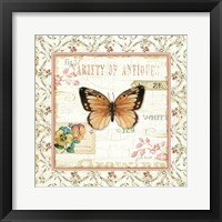 Rose Garden V Framed Print