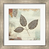 Silver Leaves II Fine Art Print
