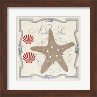 Pacific Starfish Fine Art Print