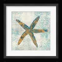 Coastal Beauty  I Framed Print