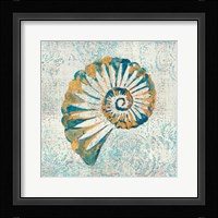 Coastal Beauty  II Framed Print
