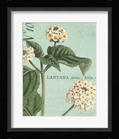 Botanique Bleu I Framed Print