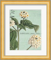 Botanique Bleu I Fine Art Print