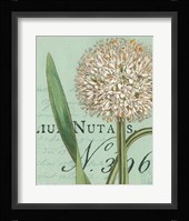 Botanique Bleu II Framed Print