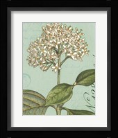 Botanique Bleu IV Framed Print