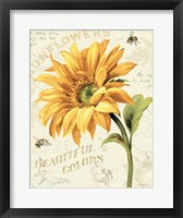 Under the Sun II Fine Art Print