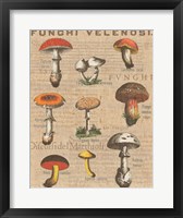 Funghi Velenosi I Framed Print