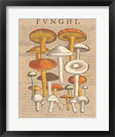 Funghi Velenosi II Framed Print