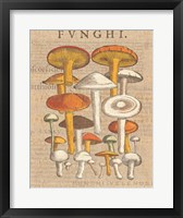Funghi Velenosi II Framed Print