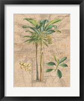 Palm Study I Framed Print