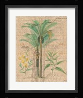 Palm Study II Framed Print