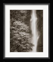 Multnomah Falls Fine Art Print