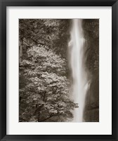 Multnomah Falls Fine Art Print