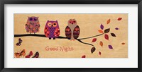 Good Night Owl Framed Print