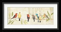 Adoration of the Magpie Panel II Framed Print