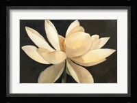 Unfolding Fine Art Print