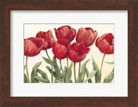 Ruby Tulips Fine Art Print