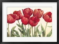 Ruby Tulips Framed Print