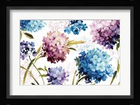 Spring Nectar I - Laurie Fine Art Print